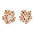 KNIGHT & DAY - Ava Clip On Earrings