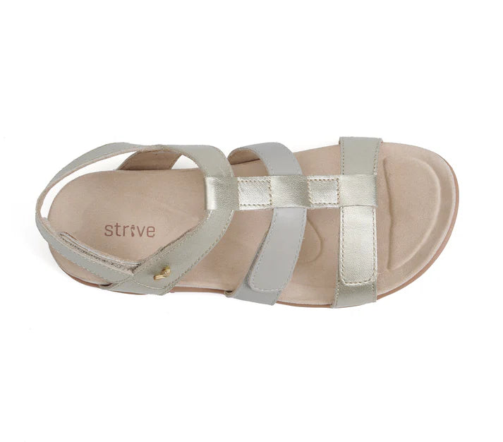 STRIVE Cassis Metallic Gold Sandal