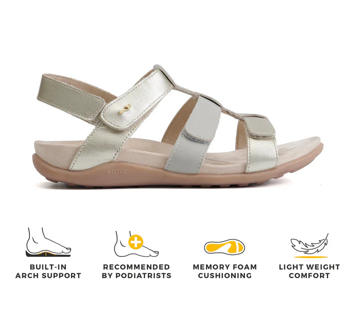 STRIVE Cassis Metallic Gold Sandal