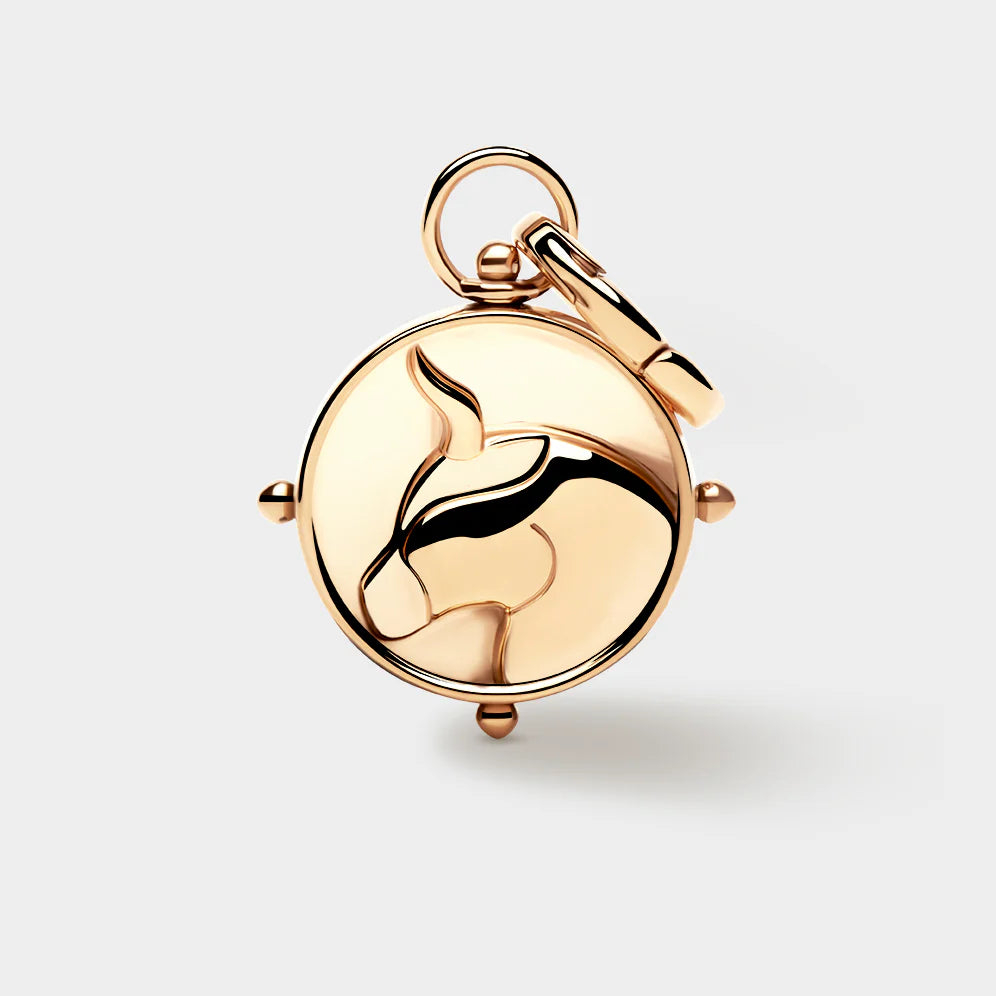 COLURi - Taurus Double-Sided Charm